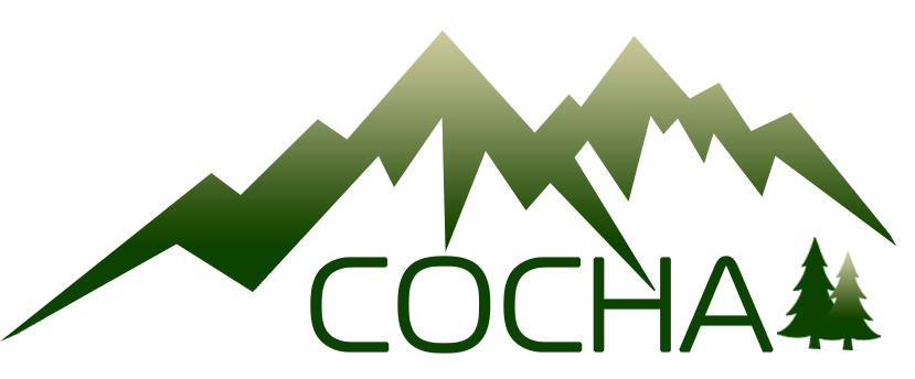 Сосна